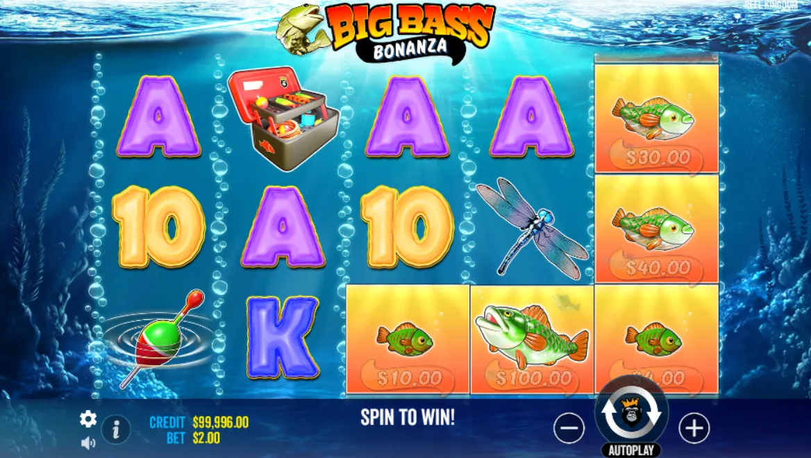 Big Bass Bonanza Slot